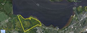 trail 10