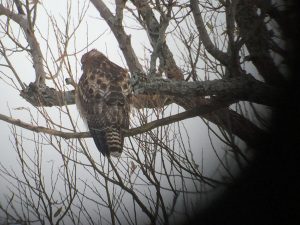 img_7757